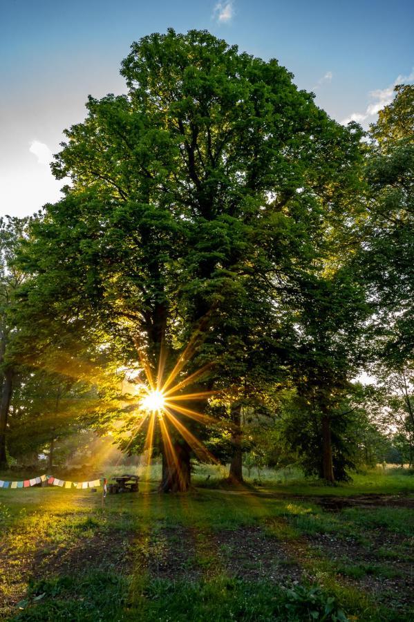 Biorezydencja Świeradów-Zdrój Dış mekan fotoğraf
