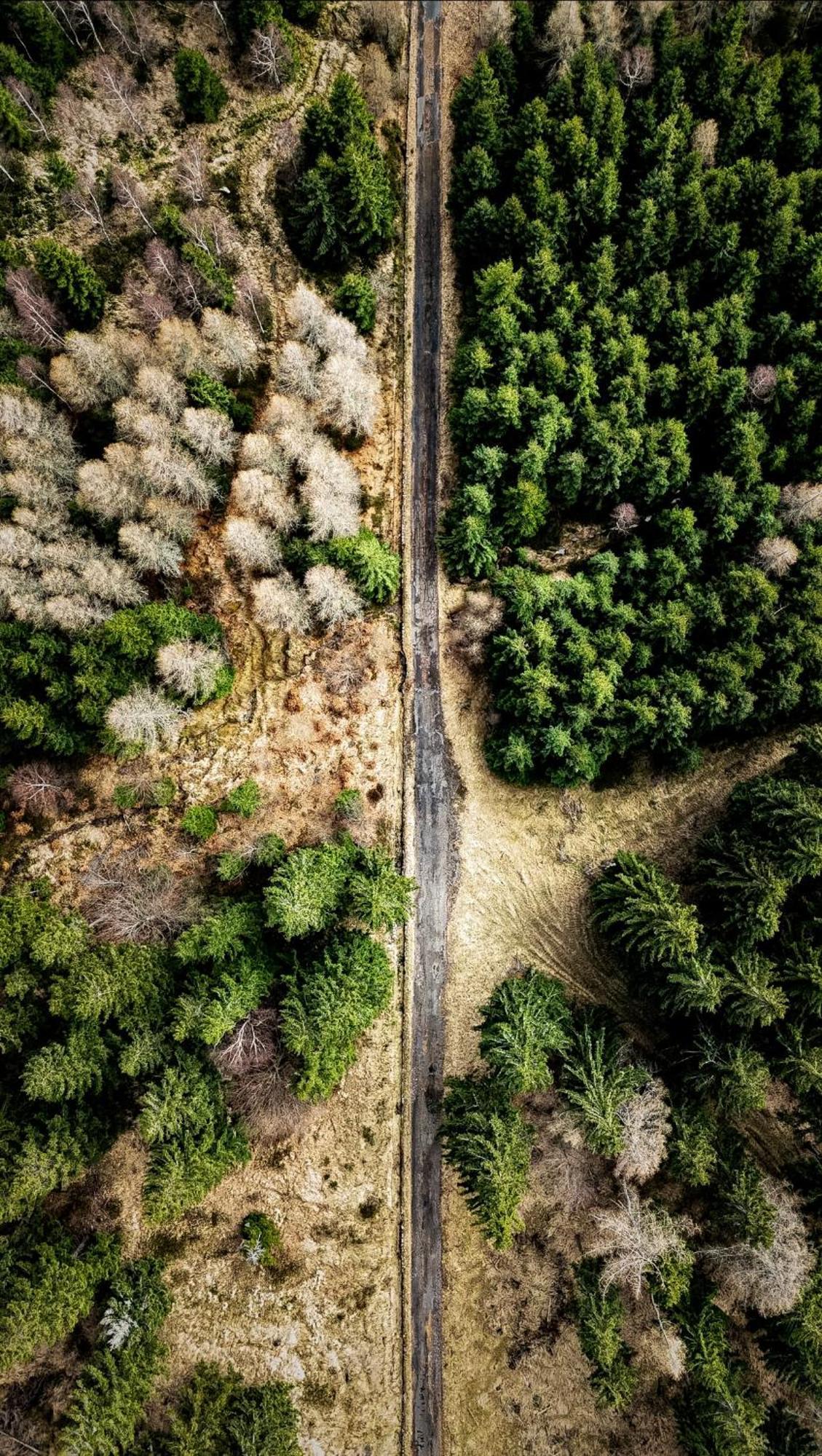 Biorezydencja Świeradów-Zdrój Dış mekan fotoğraf